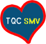 Iniciativa TQC SMV